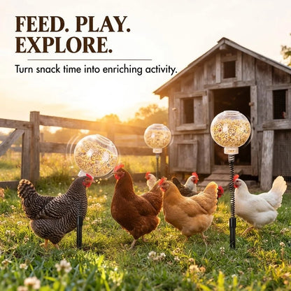 🔥 LAST DAY 49% OFF 📍Interactive Swinging Chicken Feeder Toy